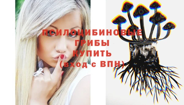 круглые Абаза