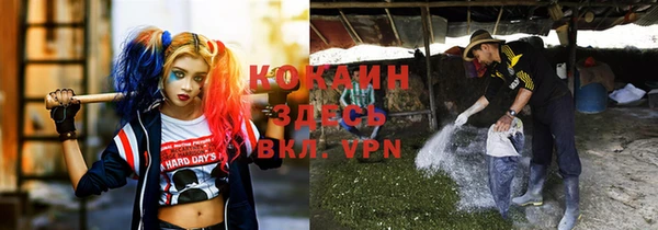 круглые Абаза