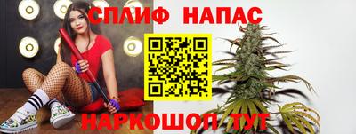 мдпв Пушкино